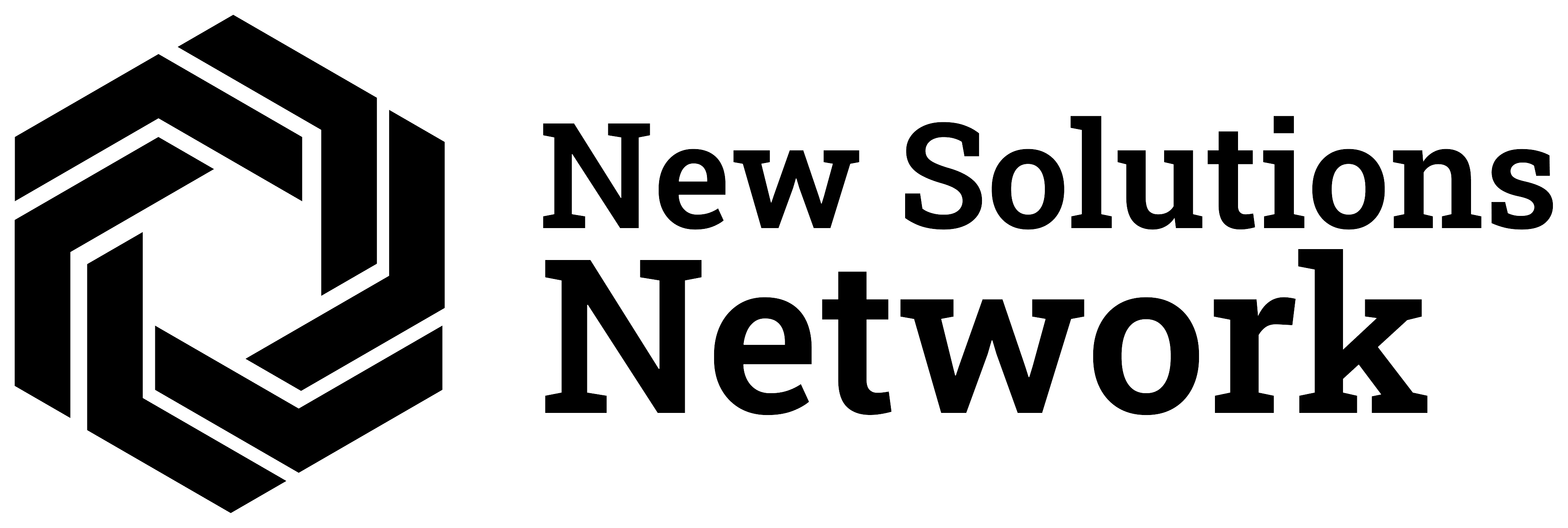 New Solutions Network